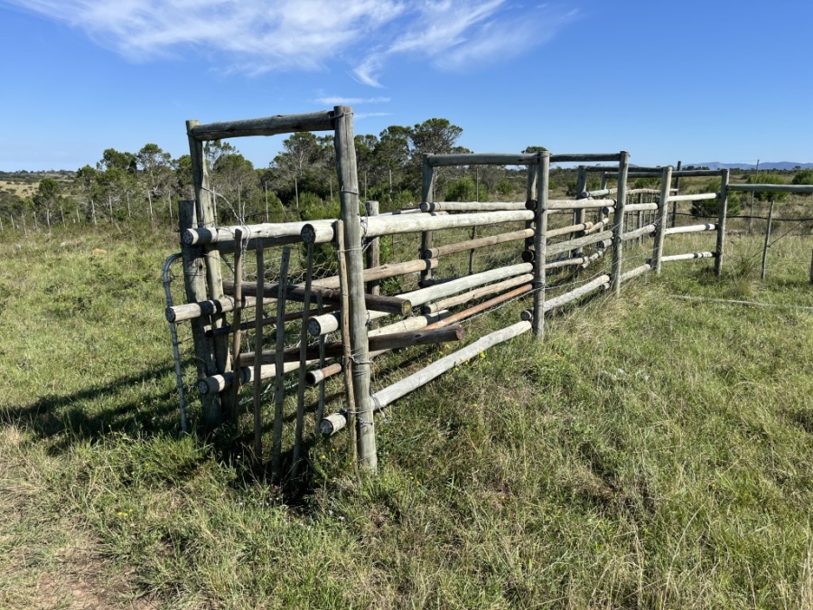 Commercial Property for Sale in Bathurst Rural Eastern Cape